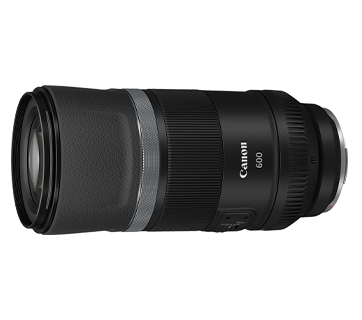 Canon RF 600mm F11 IS STM