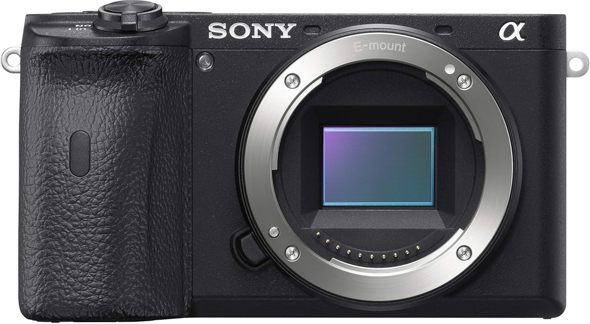 Sony ILCE-6600/BQ IN5