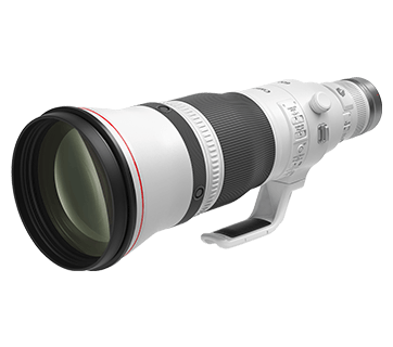Canon RF 600mm F4 L IS USM