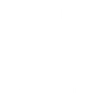 Globein Trading Camera Store